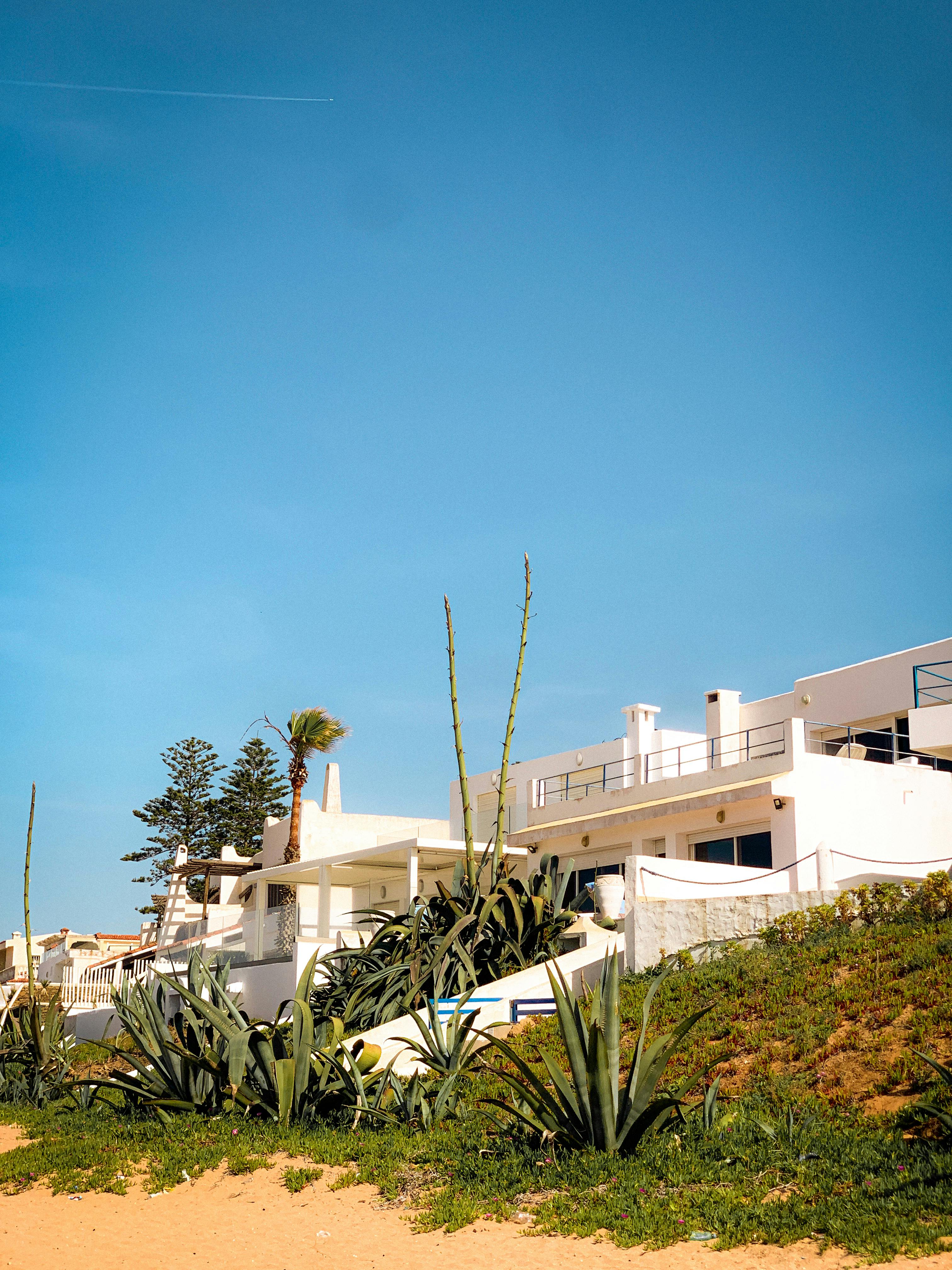 High-Rise Penthouse - 2